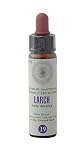 Larch n° 19 Flores de Bach Original farmaflor