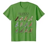 Bebé Rapace: análisis y comparativa de los mejores libros infantiles sobre aves rapaces