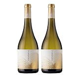 Vino blanco Nora Da Neve (Fermentado en barrica) de 75 cl - D.O. Rias Baixas - Bodegas Viña Nora (Pack de 2 botellas)