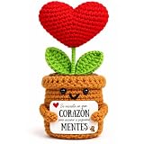 Regalo Profesora/Profesor – Corazón de Ganchillo | 'Se necesita un gran corazón para enseñar a pequeñas mentes', Fin de Curso, Maestra Infantil, Detalle Original