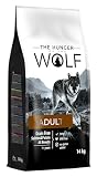 The Hunger of Wolf Alimento seco para perros adultos y perros alérgicos, fórmula delicada sin cereales con salmón y patatas- 14 kg