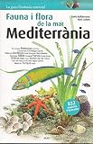 Flora I Fauna De La Mar Mediterrània: 1 (Guia il·lustrada essencial)