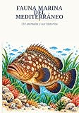Los mejores libros sobre la fauna marina mediterránea: análisis y comparativa de guías y obras imprescindibles