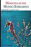 Maravillas del Mundo Submarino: Introducción a la flora y fauna del Mar Mediterráneo