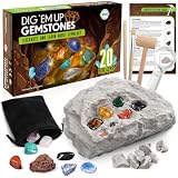LotFancy Kit de Excavación para Niños | 20 Piedras Preciosas Auténticas, Kit de Experimentación a Partir de 8, 9 y 10 Años, Regalo para Niños y Niñas