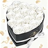 17 Piezas Regalos Mujer con Rosas Natural Preservadas - Flores Eternas en Caja en Forma de Corazón, Flores Preservadas Rosa Regalo para Mujer Novia o Mama para San Valentín, Cumpleaños, Navidad
